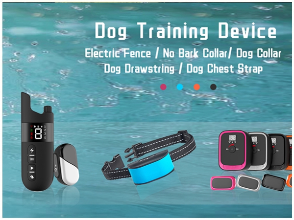 Dog Training Devices